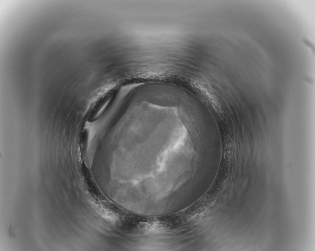 X0000095110688200712141152