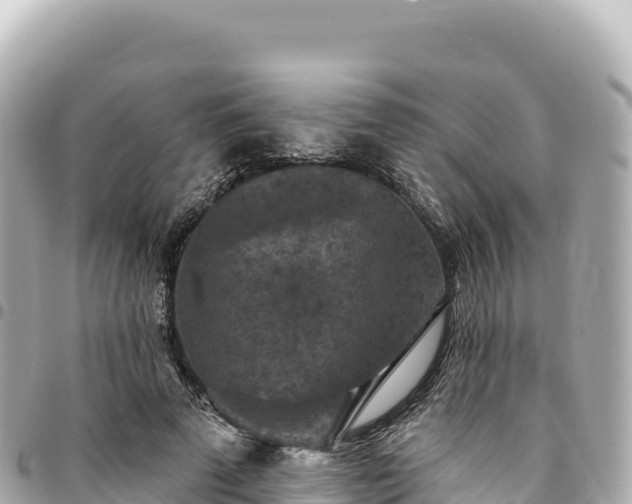 X0000095110689200712141152