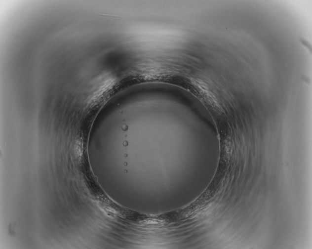 X0000095110691200712141152