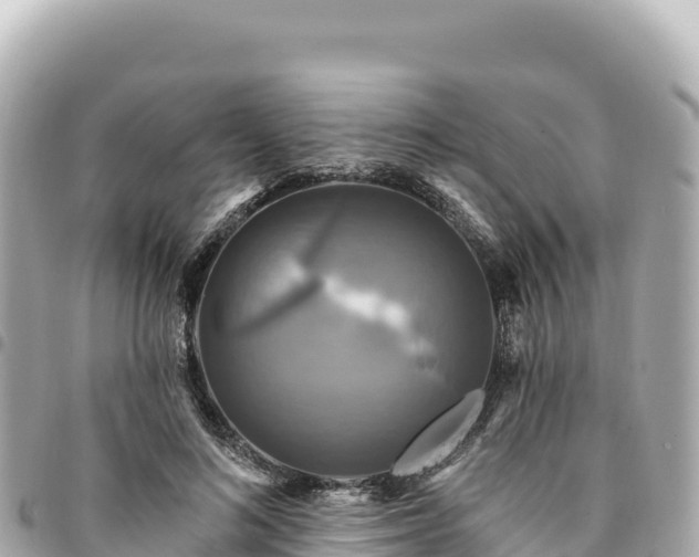 X0000095110692200712141152