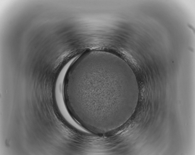 X0000095110693200712141152