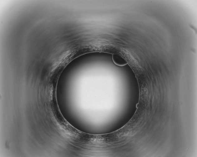 X0000095110694200712141152