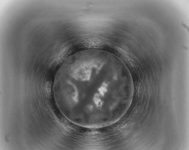 X0000095110695200712141152