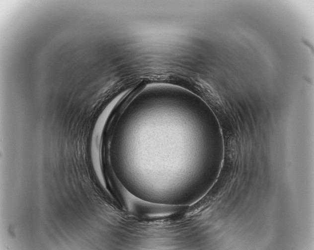 X0000095110697200712141152