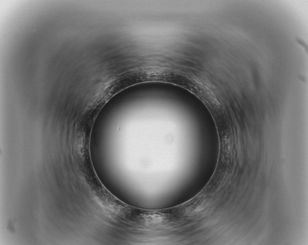 X0000095110698200712141152