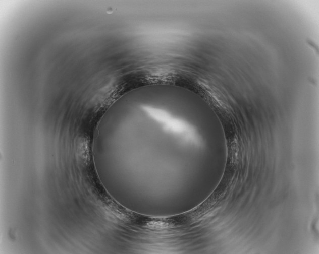 X0000095110699200712141152