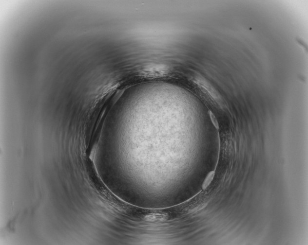 X0000095110700200712141152