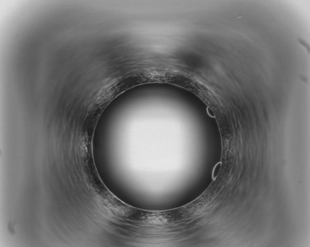 X0000095110702200712141152