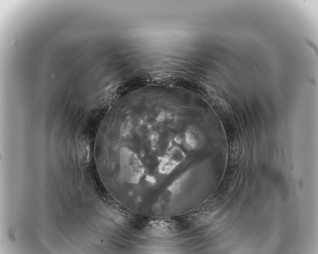 X0000095110703200712141152