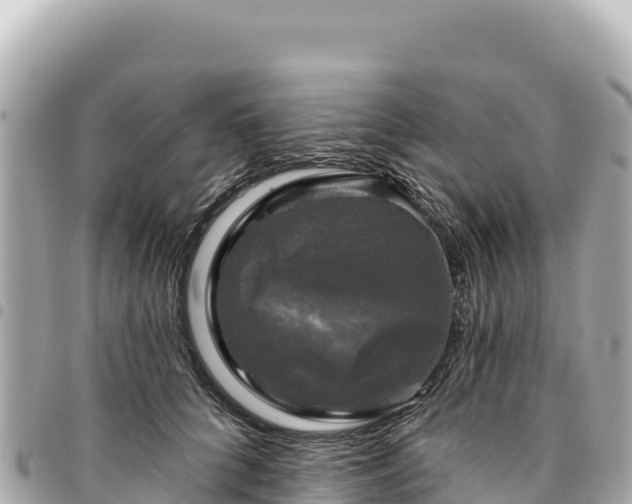 X0000095110704200712141152