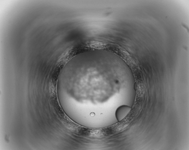 X0000095110705200712141152