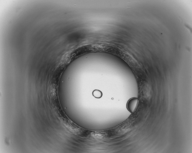 X0000095110706200712141152