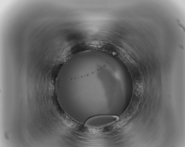 X0000095110707200712141152