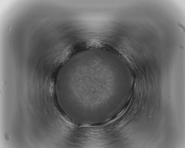 X0000095110708200712141152