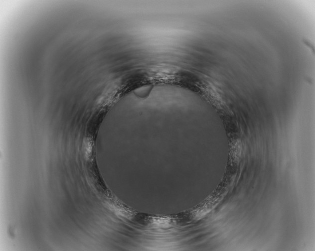 X0000095110709200712141152