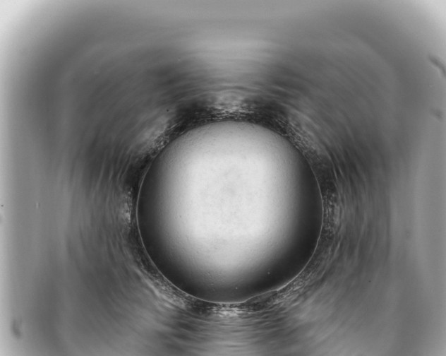 X0000095110710200712141152