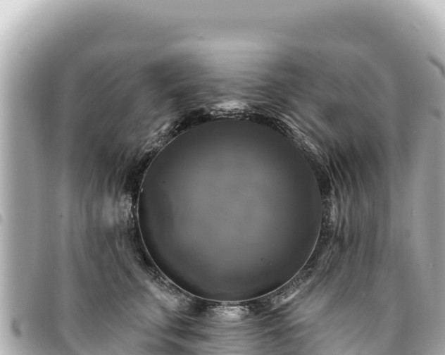 X0000095110711200712141152