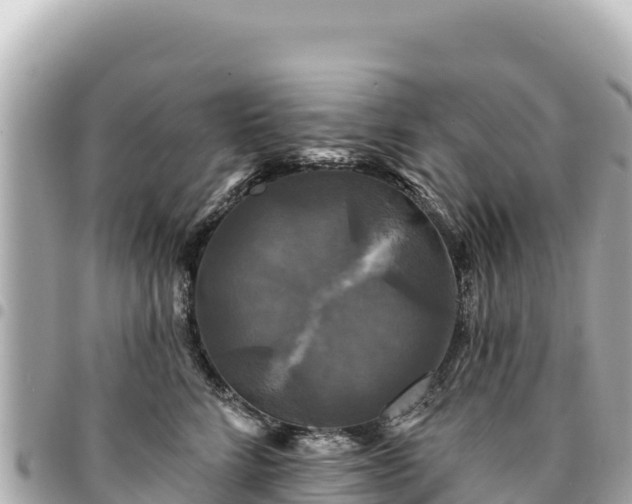 X0000095110712200712141152