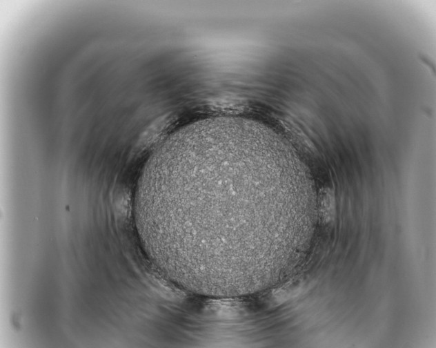 X0000095110713200712141152