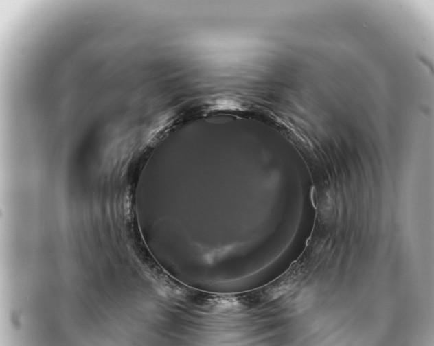 X0000095110715200712141152