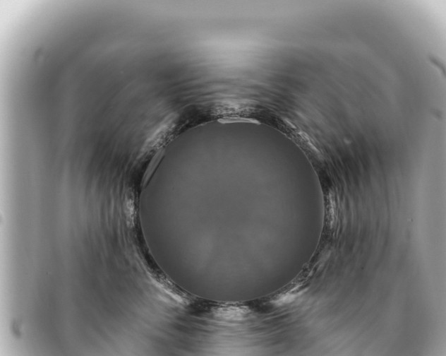 X0000095110716200712141152