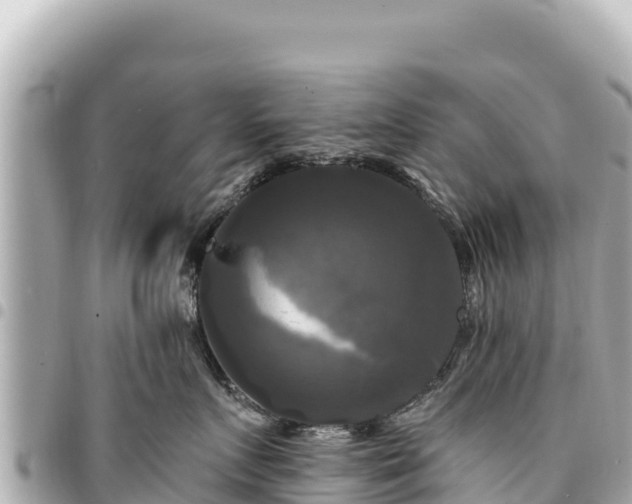 X0000095110719200712141152