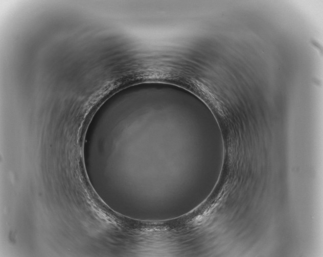 X0000095110721200712141151