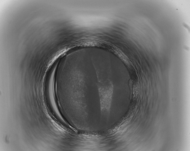 X0000095110722200712141151