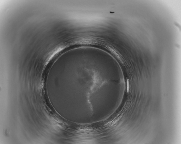 X0000095110723200712141151