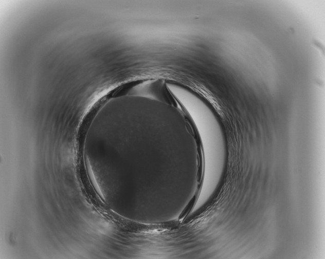 X0000095110724200712141151