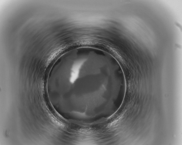 X0000095110725200712141151