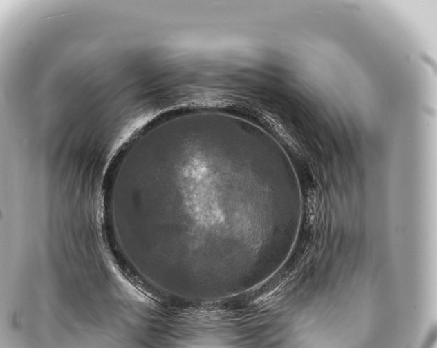 X0000095110726200712141151