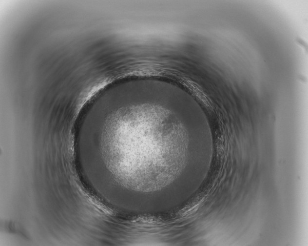 X0000095110727200712141151