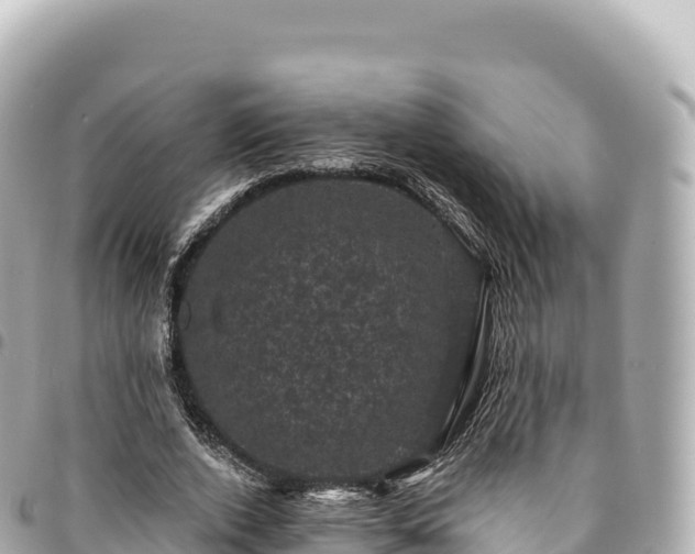 X0000095110728200712141151