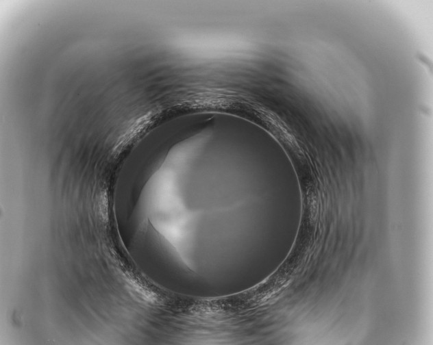 X0000095110729200712141151