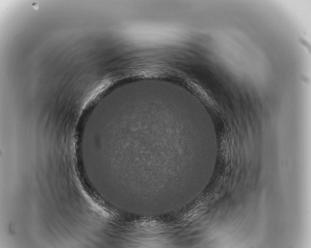 X0000095110730200712141151