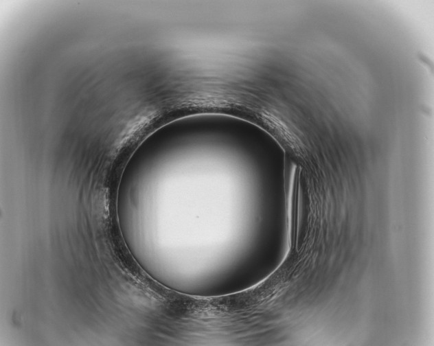 X0000095110731200712141151