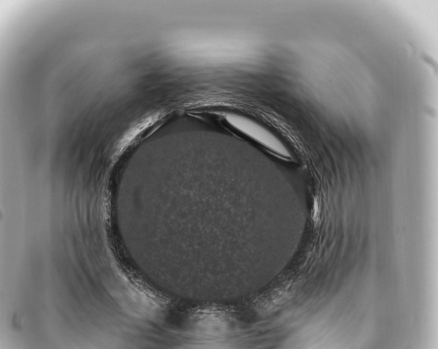 X0000095110732200712141151