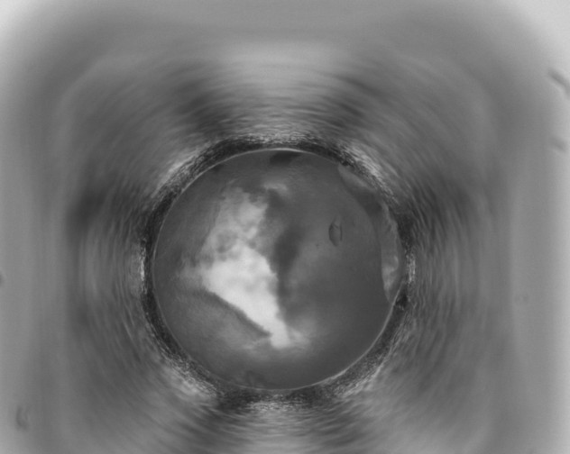 X0000095110733200712141151