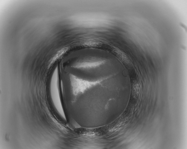 X0000095110734200712141151