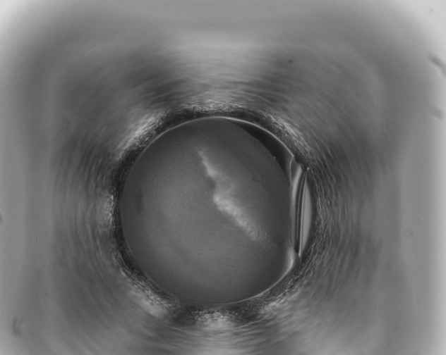 X0000095110735200712141151