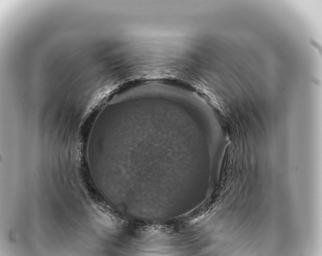 X0000095110736200712141151