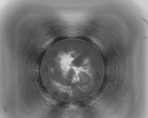 X0000095110737200712141151