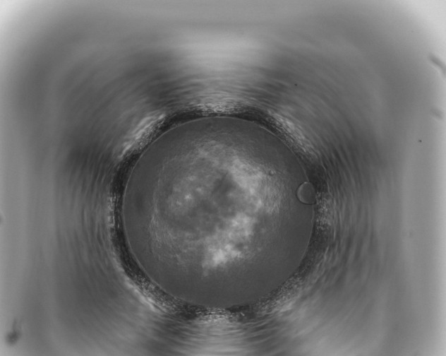 X0000095110738200712141151