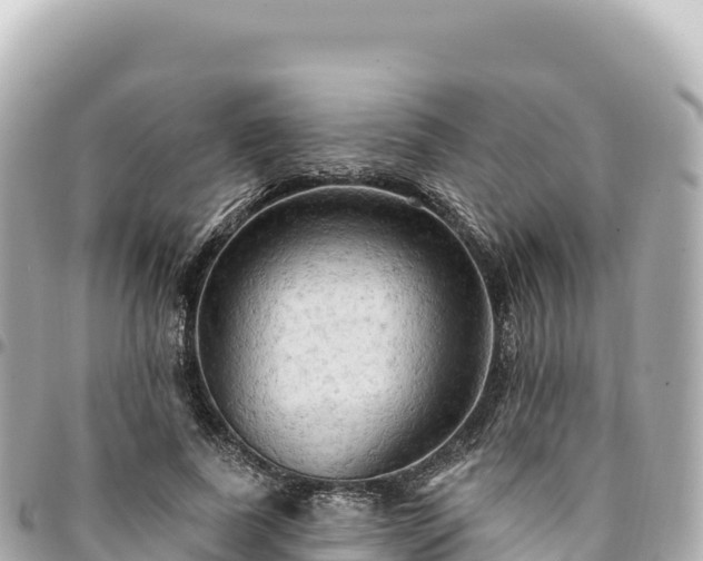 X0000095110739200712141151