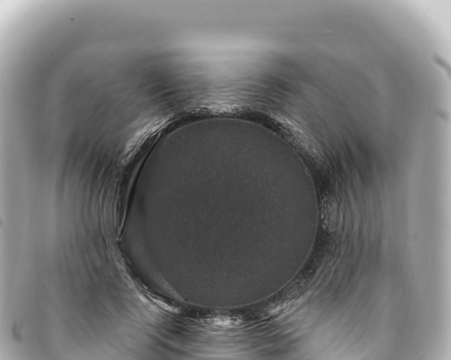 X0000095110740200712141151