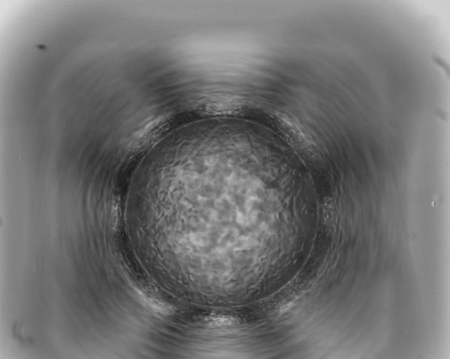 X0000095110741200712141151