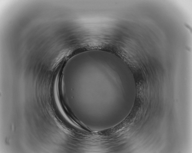 X0000095110742200712141151