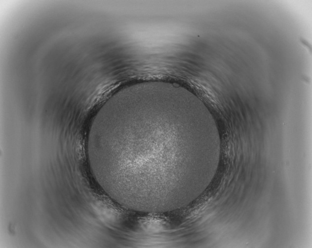 X0000095110743200712141151