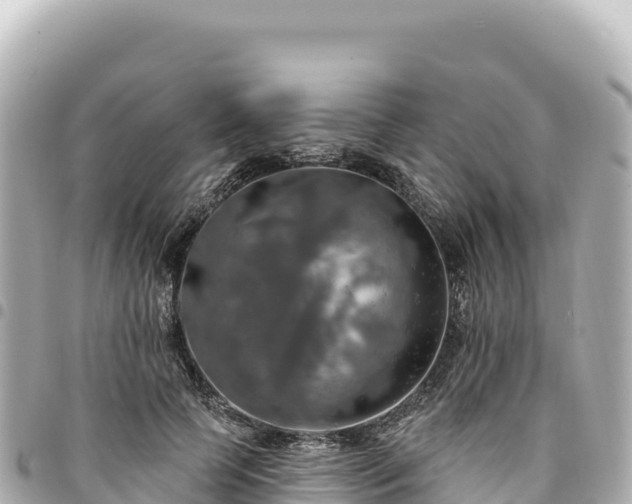 X0000095110745200712141151